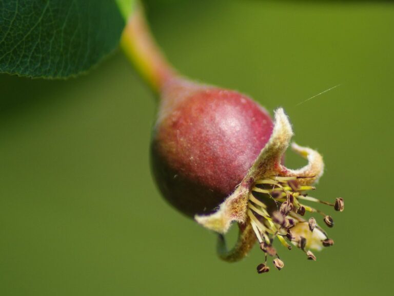 94618692_1787226121411771_4334393437919903744_n